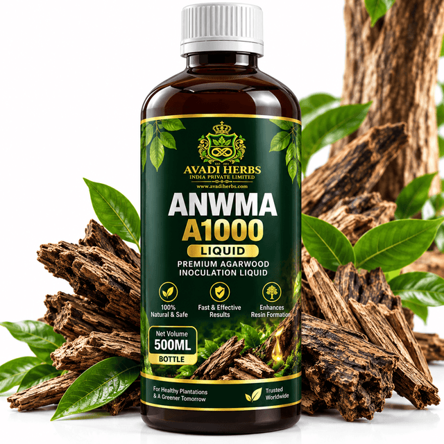ANWMA A1000