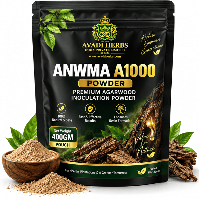 ANWMA A1000
