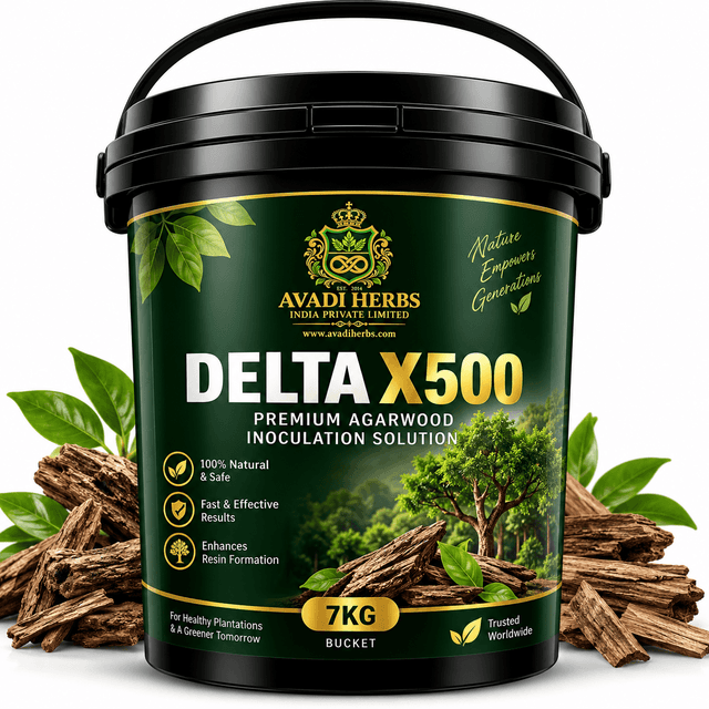DELTA X500